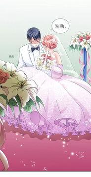 替嫁新娘进阶录