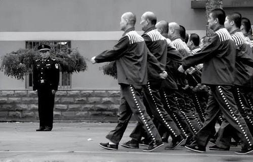 低级罪犯,剖析其犯罪动机与心理特征